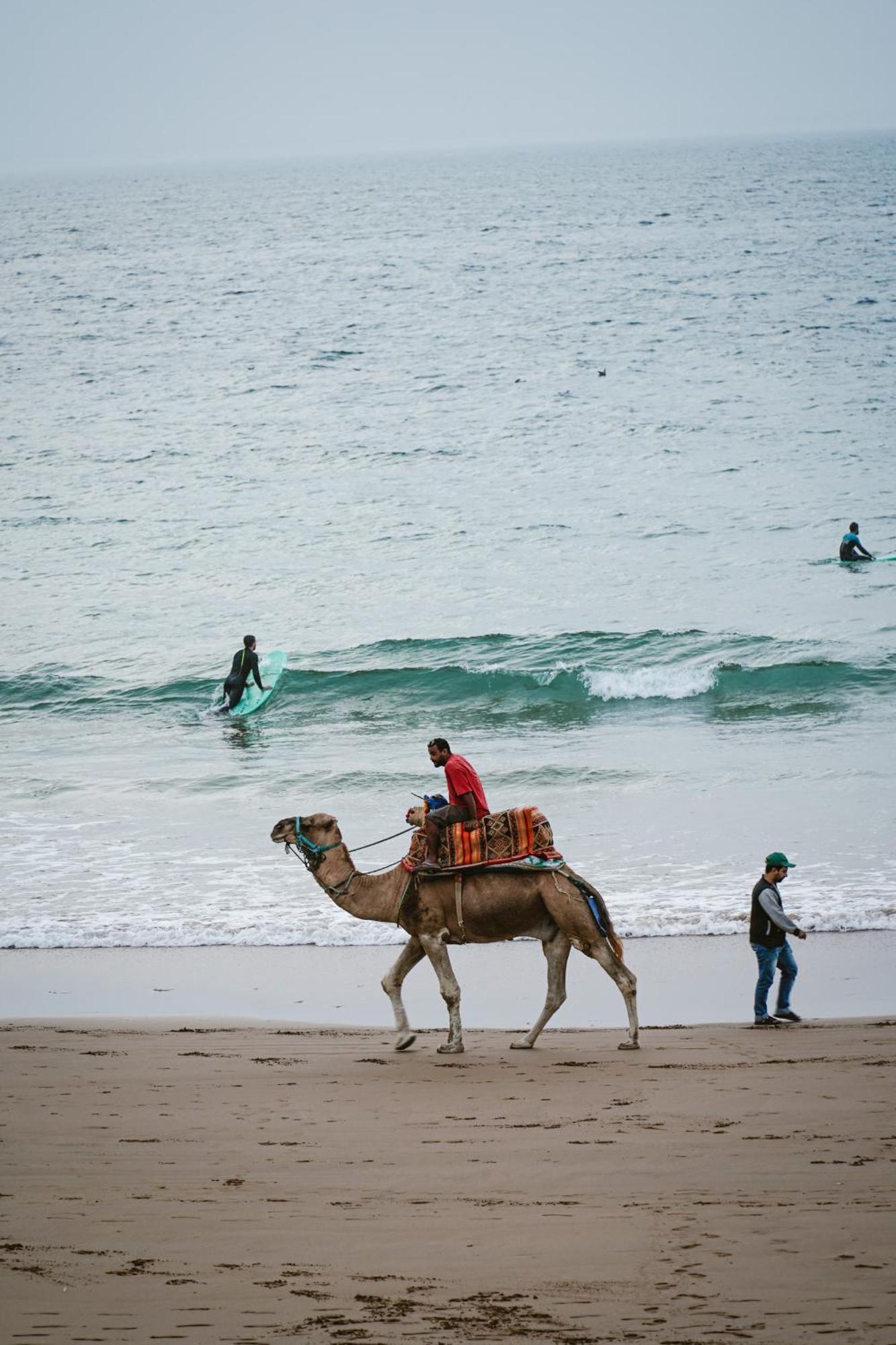 Dar Sultana Guesthouse Surf Morocco Tamraght Ngoại thất bức ảnh